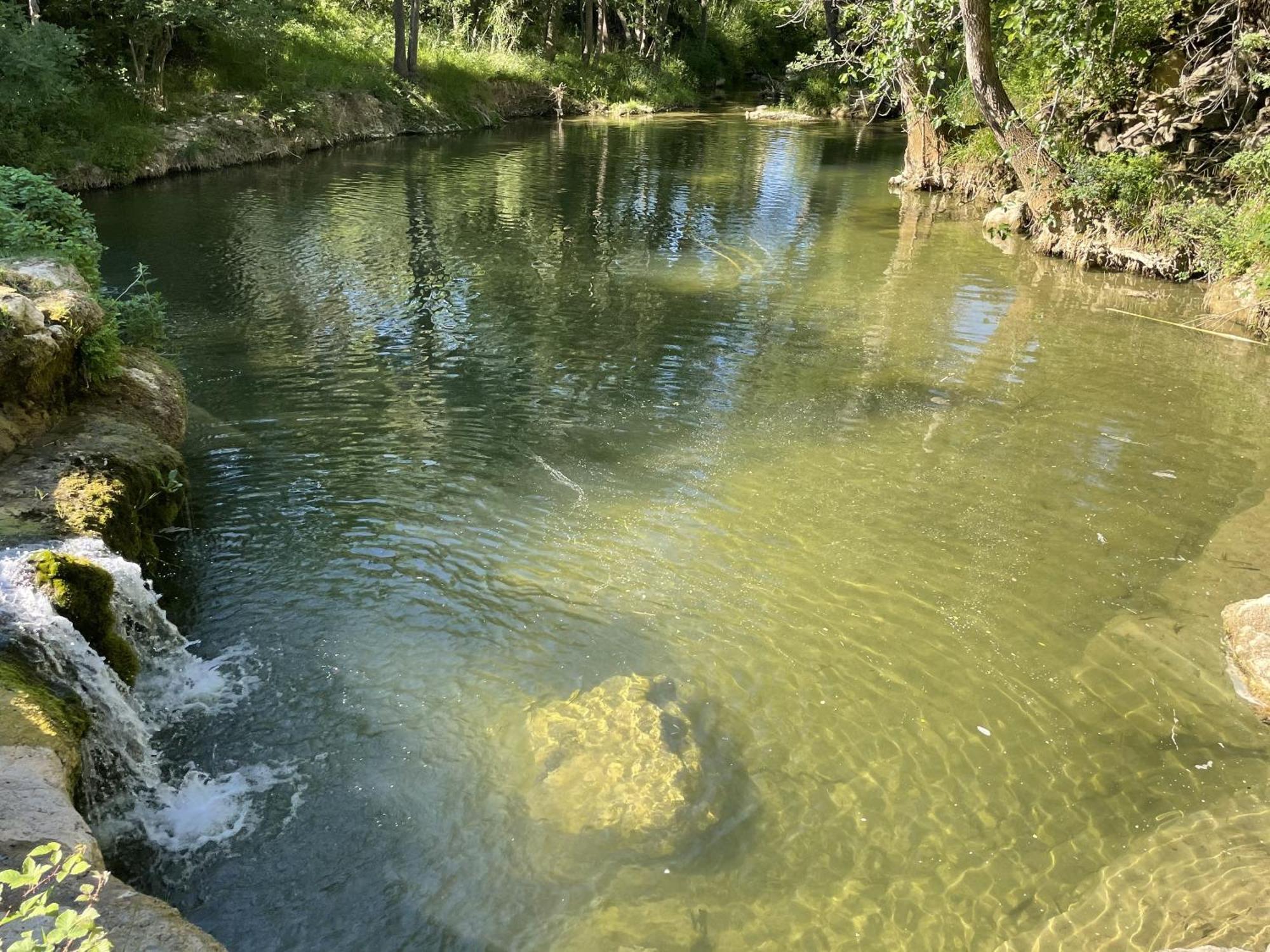 Le Domaine De La Tuilerie - Gite De Charme En Bord De Riviere Avec Piscine Servies-en-Val Екстериор снимка