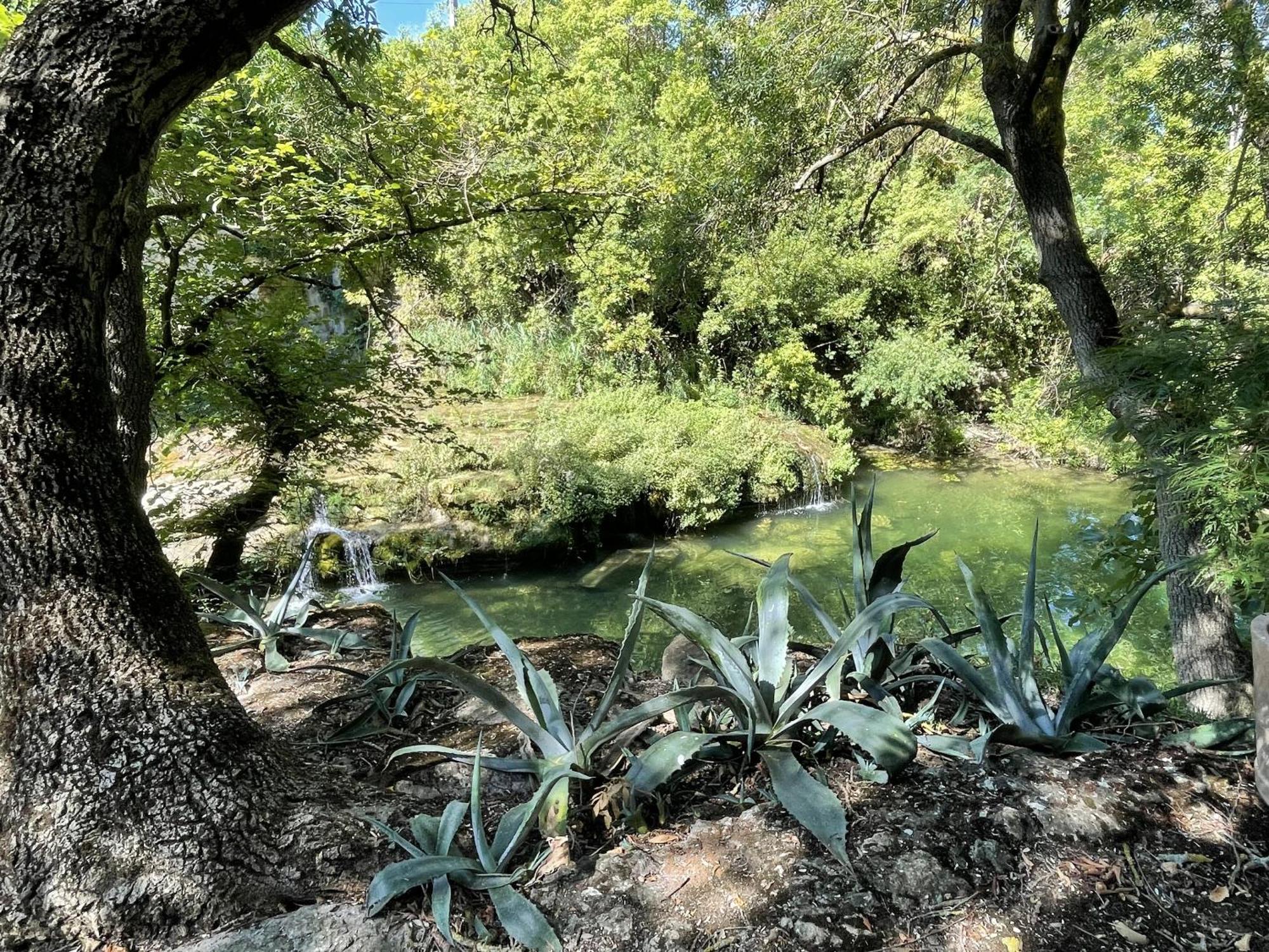 Le Domaine De La Tuilerie - Gite De Charme En Bord De Riviere Avec Piscine Servies-en-Val Стая снимка
